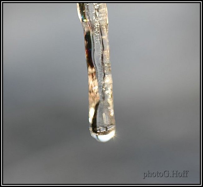 iceicle