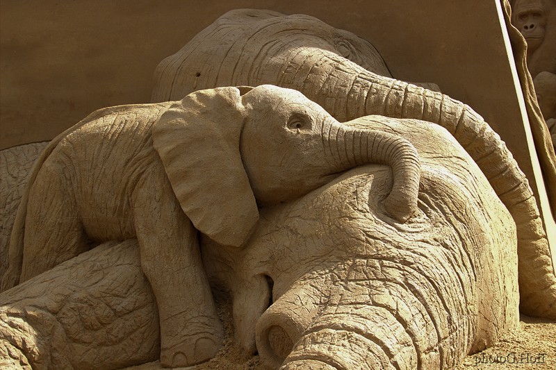 elephant/ivory